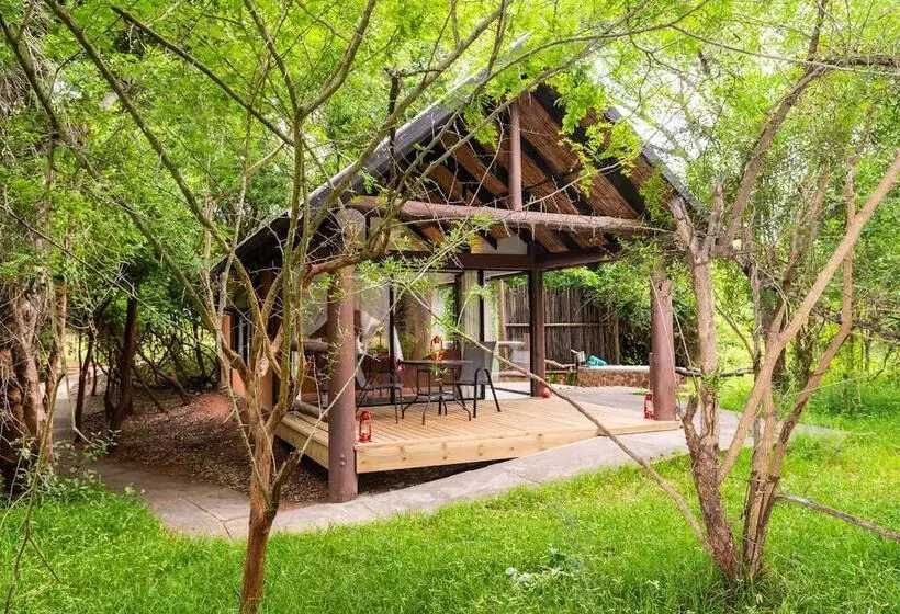 Отель Leopard Walk Lodge