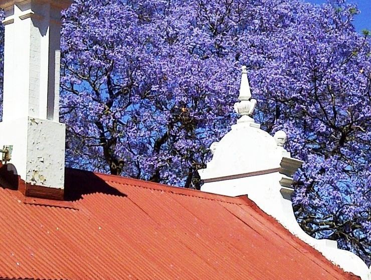 بنسيون Melvin Residence Guest House