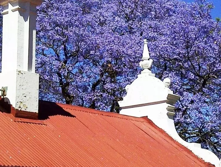 פנסיון Melvin Residence Guest House