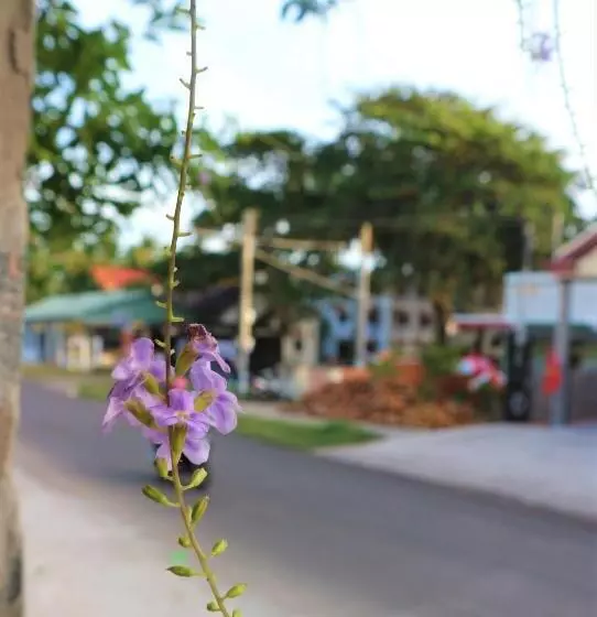Majatalo Quoc Dinh Guesthouse