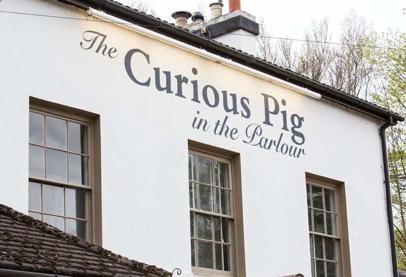 Hotel The Curious Pig In The Parlour