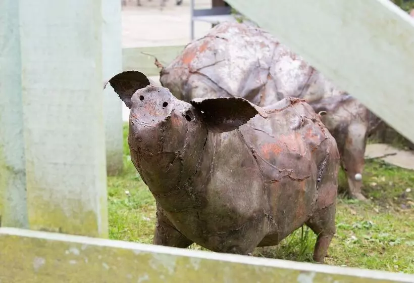 Hotelli The Curious Pig In The Parlour