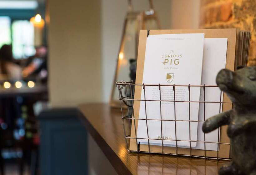 Hotel The Curious Pig In The Parlour
