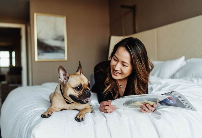 Hotel Fairmont Vancouver Airport   Gold Experience