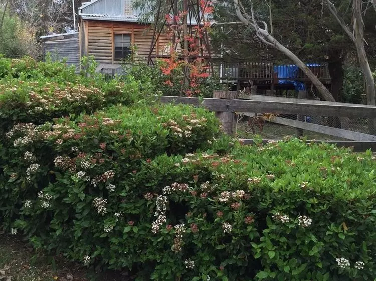 Carinya Village Jindabyne