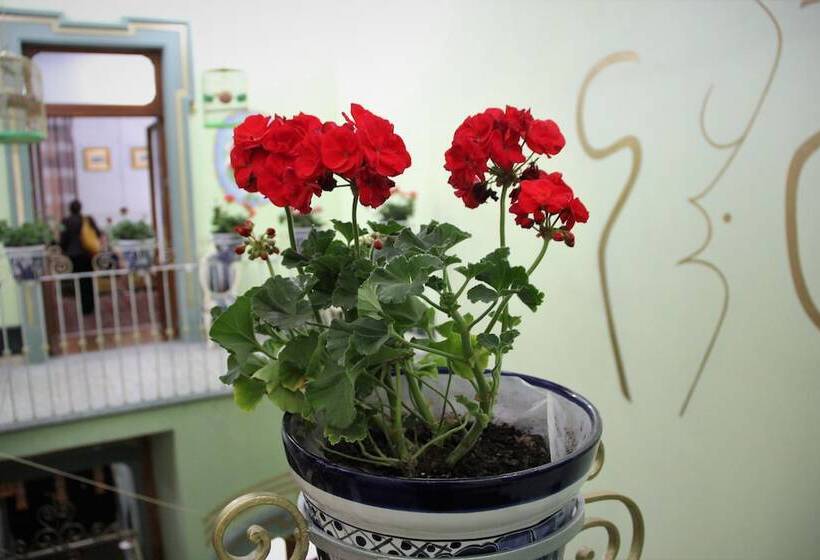 هتل Azcami Boutique