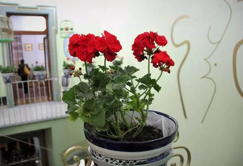 فندق Azcami Boutique