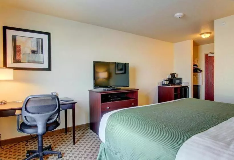 Отель Cobblestone Inn & Suites Steele