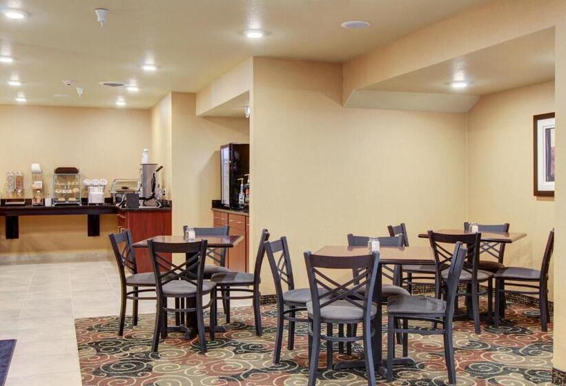 Отель Cobblestone Inn & Suites  Steele
