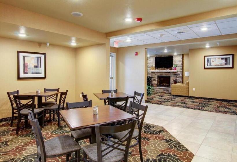 Отель Cobblestone Inn & Suites  Steele