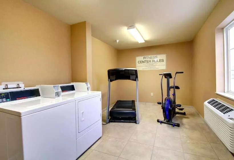 Отель Cobblestone Inn & Suites Steele