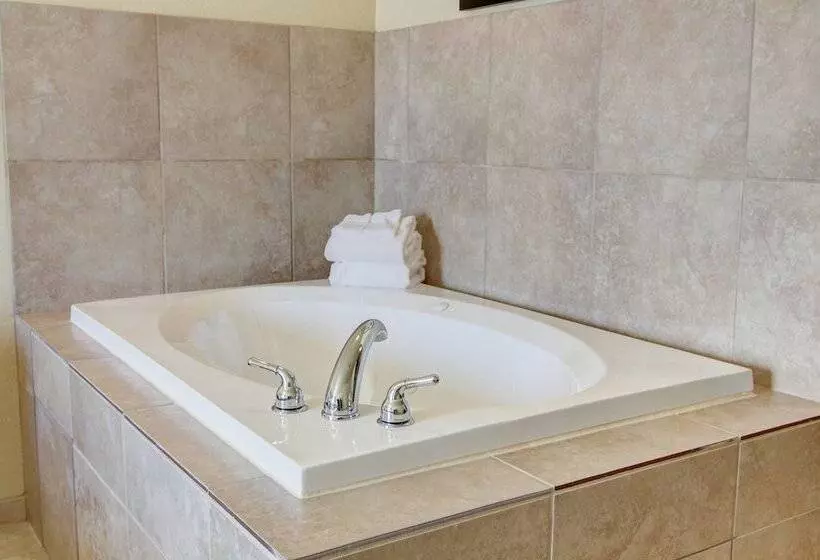 Отель Cobblestone Inn & Suites Steele