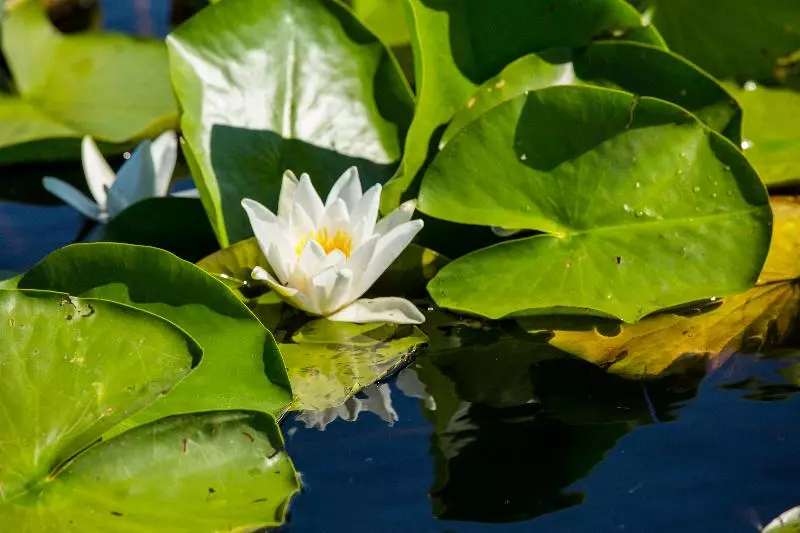 ホテル Cormoran Resort