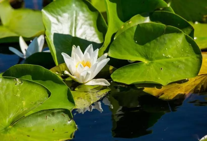 ホテル Cormoran Resort