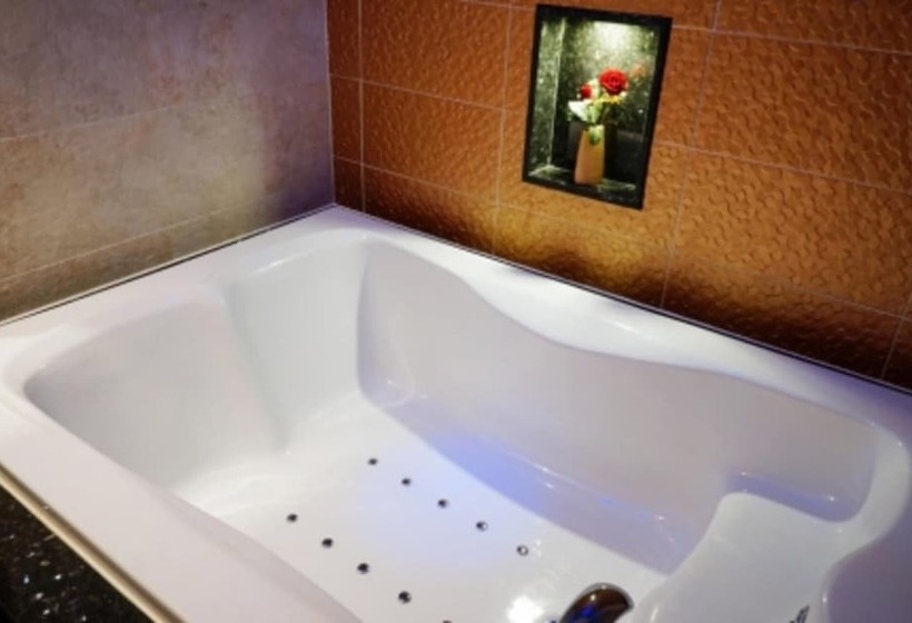 Hotel Dongtan Windsor