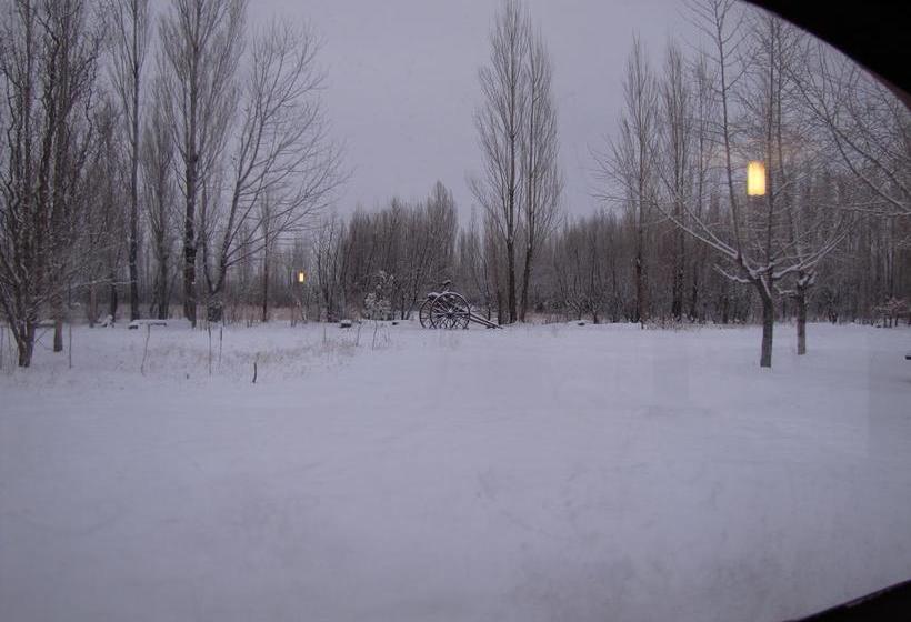 فندق Eco Hostel Malargue