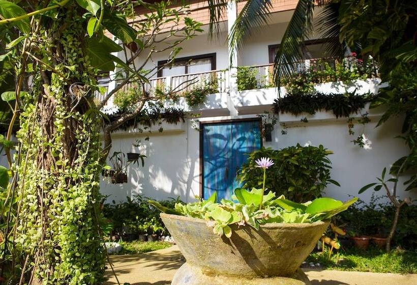 هتل Elysia Boutique Resort