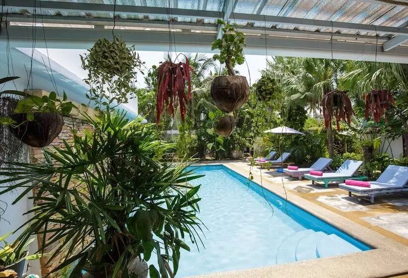 בית מלון כפרי Elysia Boutique Resort