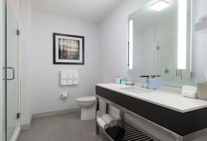 ホテル Hampton Inn & Suites Worcester