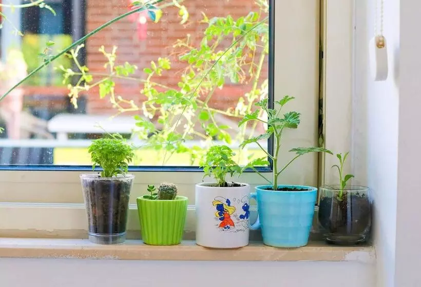 בית מלון כפרי Minu