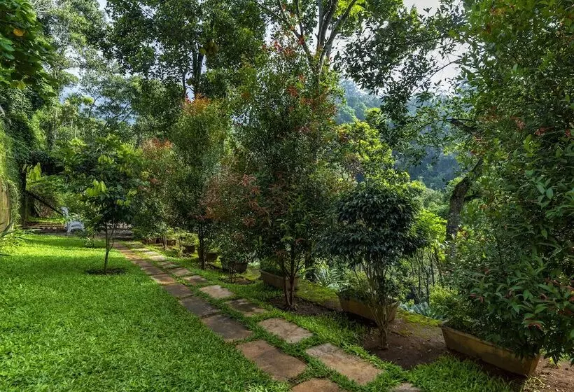 Hôtel Tea Harvester