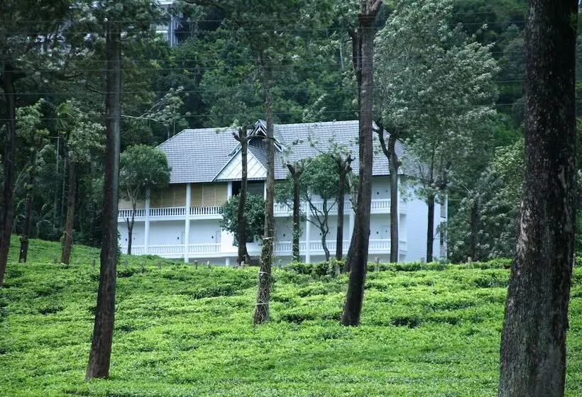 Hôtel Tea Harvester