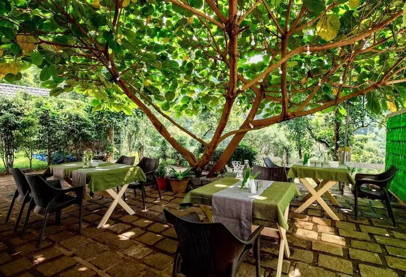 Hôtel Tea Harvester