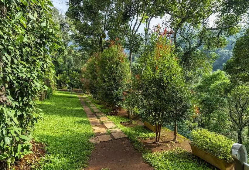 Hôtel Tea Harvester