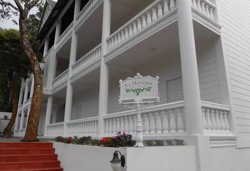 Hôtel Tea Harvester