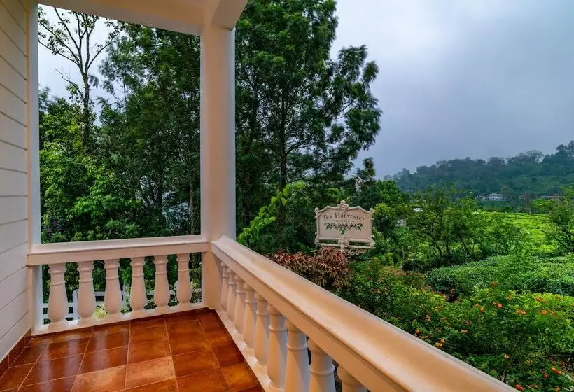 Hôtel Tea Harvester