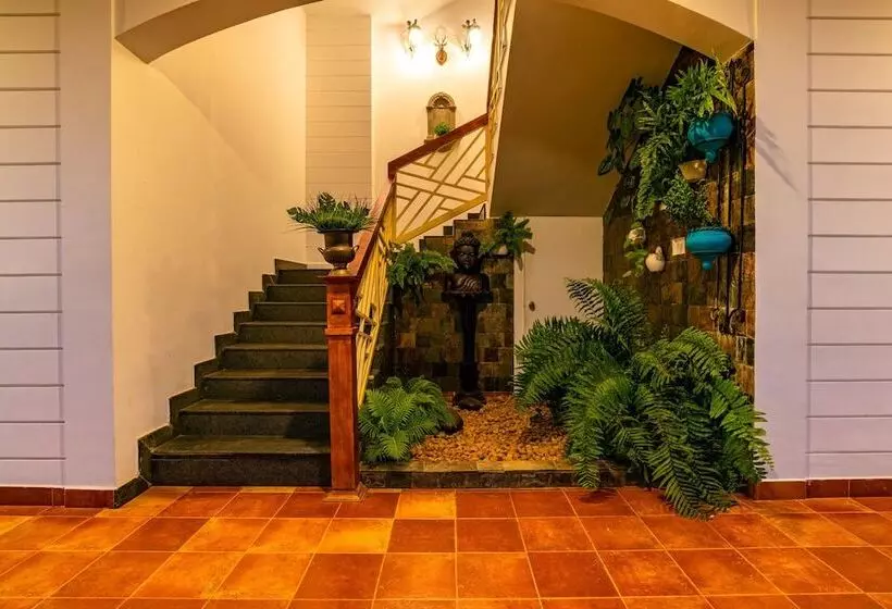 Hôtel Tea Harvester