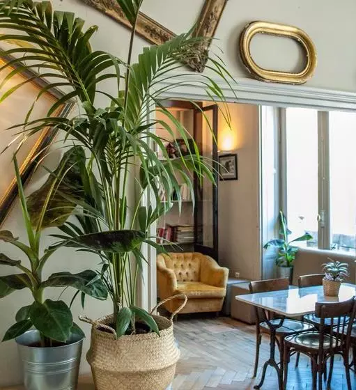 Szálló Ho36 Avignon