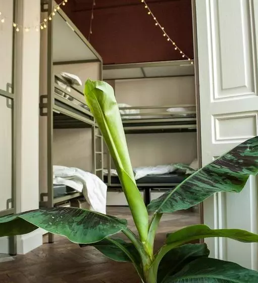 Szálló Ho36 Avignon