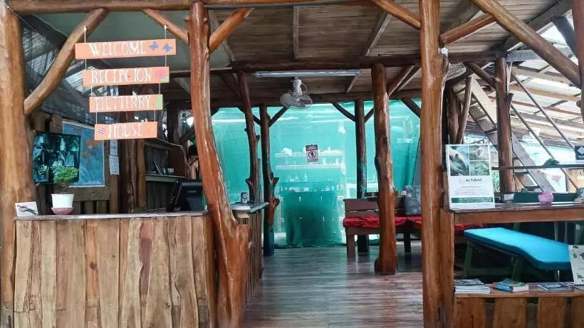 Flutterby House Hostel