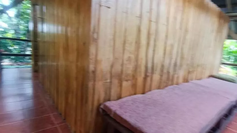 Flutterby House Hostel