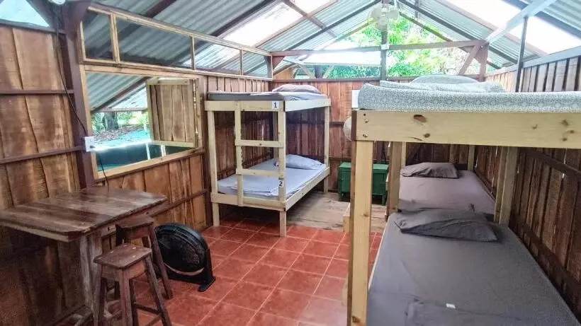 Flutterby House Hostel