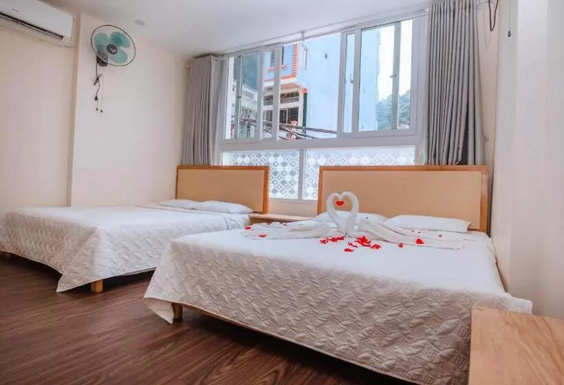 Hai Binh Hotel Cat Ba