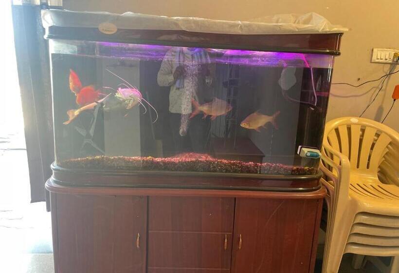 Hotel Oyo 80950b Samrat Lodge