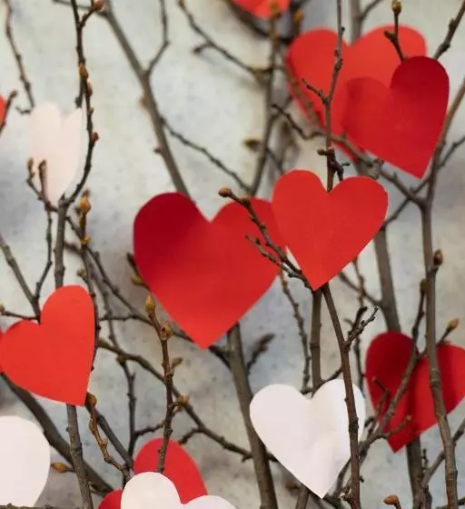 پانسیون Riad Beni Sidel