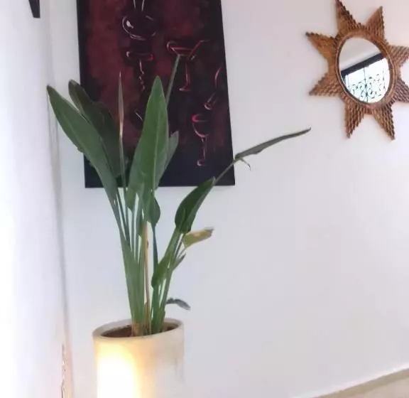 پانسیون Riad Beni Sidel