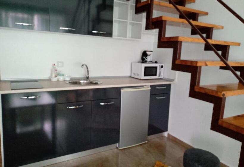 Пансион Guest House аnestievi