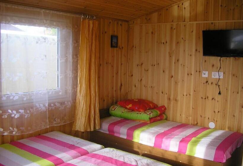 پانسیون žuvėdrų G. 27