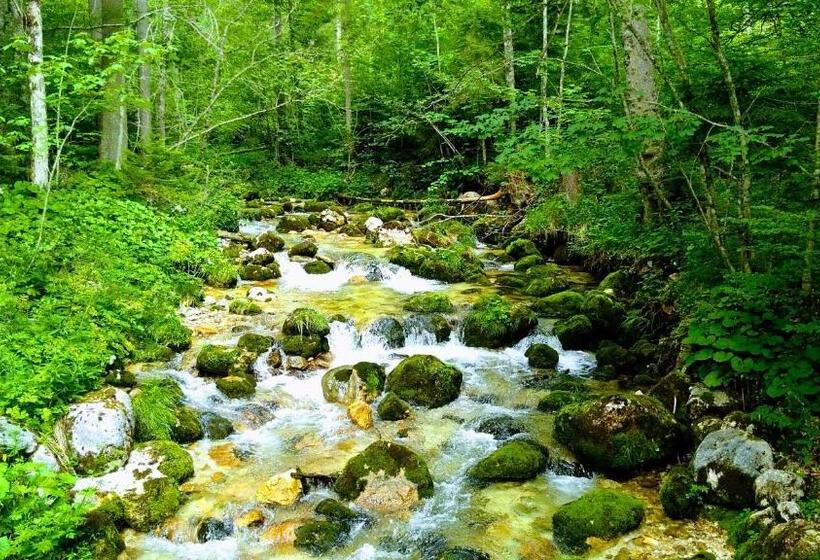 Majatalo Haus Hepi B&b