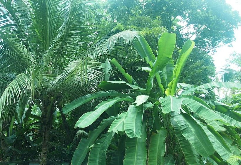 مبيت وإفطار Manik Villa