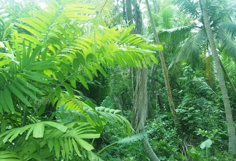 Bed and Breakfast Manik Villa