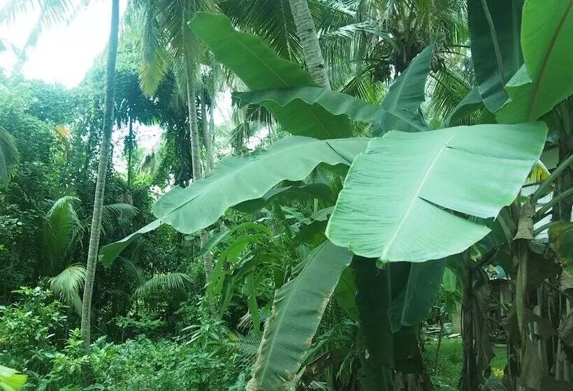 Bed and Breakfast Manik Villa