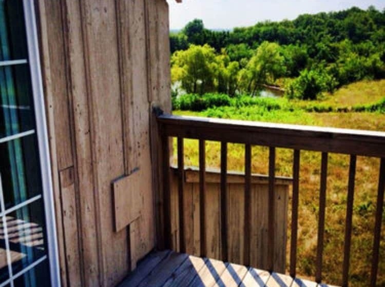 مبيت وإفطار Netherfield Natural Farm