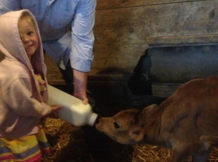 مبيت وإفطار Netherfield Natural Farm