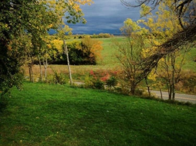 مبيت وإفطار Netherfield Natural Farm