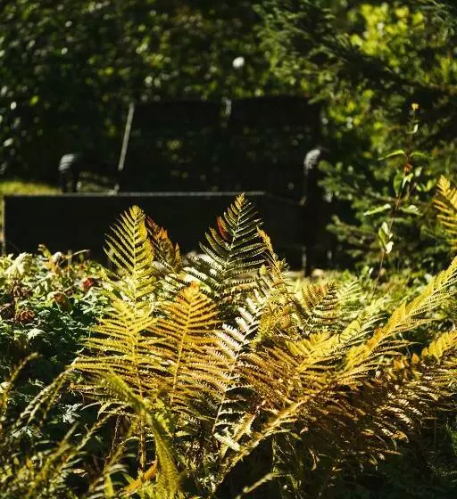 住宿加早餐 The Fern Lodge